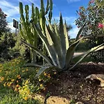 Baia Delle Mimose I6 Badesi