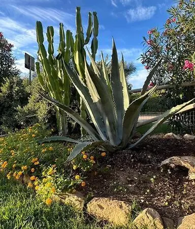Baia Delle Mimose I6 Badesi