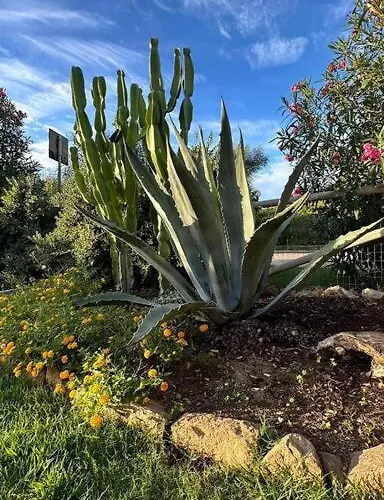 Baia Delle Mimose I6 Badesi